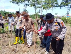 Tanam Jagung Pipil di Desa Sei Kuning,Polsek Rambah Samo Dukung Swasembada Pangan Bersama Petani.