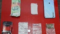 Gerebek Kafe di Rambah, Satresnarkoba Polres Rokan Hulu Tangkap Pengedar Ganja dan Ekstasi,