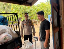 Polsek Tambusai Utara Lakukan Monitoring, Serap 2.031 Kg Jagung Program Ketahanan Pangan Desa Mahato,