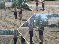 Polsek Tambusai Utara Dukung Ketahanan Pangan, Serahkan Pupuk Cair untuk Petani Jagung di Desa Rantau Sakti