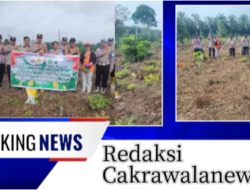 Wujudkan Polisi Cinta Petani, Polsek Rambah Samo Dukung Ketahanan Pangan di Desa Sei Kuning, Tanam Jagung Pipil Kuartal III 1,5 Hektar.