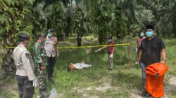 Polsek Tambusai Utara Respons Cepat Laporan Penemuan Jenazah di Mahato