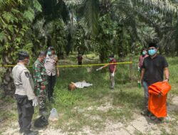 Polsek Tambusai Utara Respons Cepat Laporan Penemuan Jenazah di Mahato