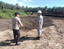 Polsek Tambusai Utara Perkuat Stabilitas Pangan melalui Lahan Jagung PT Naga Mas,di Desa Tanjung Medan, Dukung Ketahanan Pangan Nasional