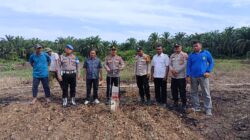 Awal Penanaman Jagung Kuartal III, Polsek Tambusai Utara Perkuat Dukungan Swasembada Pangan