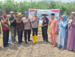Dukung Astacita Presiden RI Melalui Ketahanan Pangan, Polsek Rambah Samo Tanam Jagung 1 Hktr Bersama Warga.