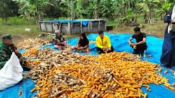 KKN ITS Paluta 2026 Hadirkan “TEMAN TANGGUH”: Kolaborasi Teknologi dan Ketahanan Pangan untuk Masyarakat di Desa Mekar Jaya Kecamatan Tambusai Utara Kabupaten Rokan Hulu-Riau