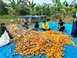 KKN ITS Paluta 2026 Hadirkan “TEMAN TANGGUH”: Kolaborasi Teknologi dan Ketahanan Pangan untuk Masyarakat di Desa Mekar Jaya Kecamatan Tambusai Utara Kabupaten Rokan Hulu-Riau