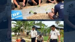 Optimalkan Pembinaan bagi Warga Binaan, Lapas Pasir Pangarayan Tanam 850 Batang Terong Ungu Guna Dukung Ketahanan Pangan