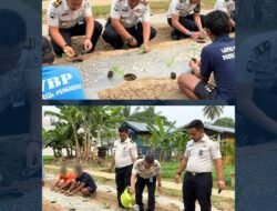 Optimalkan Pembinaan bagi Warga Binaan, Lapas Pasir Pangarayan Tanam 850 Batang Terong Ungu Guna Dukung Ketahanan Pangan