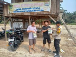 Polsek Tambusai Utara Pantau Jagung Program Ketahanan Pangan, Serahkan Pupuk Cair untuk Dongkrak Hasil Panen