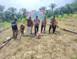 Polsek Rambah Samo, Dukung Ketahanan Pangan Melalui Penanaman Jagung Pipil Kuartal III di Desa Marga Mulya.