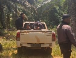 Warga Guntung Diduga Dianiaya Saat Diamankan di Perkebunan Sawit PT MHL, Publik Pertanyakan Dasar Pengamanan dan Aktivitas di Lahan yang Disebut Sitaan Kejagung