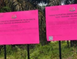 Oknum di Duga Lakukan Kekerasan, di Saat Amankan Warga Guntung di Perkebunan Sawit PT MHL, Publik Pertanyaan Dasar Apa Pengamanan.