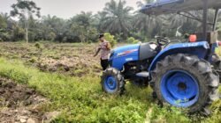 Lahan Jagung 1 Hektar di Desa Mekar Jaya, Polsek Tambusai Utara Kawal Persiapan Ketahanan Pangan.