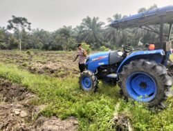 Lahan Jagung 1 Hektar di Desa Mekar Jaya, Polsek Tambusai Utara Kawal Persiapan Ketahanan Pangan.