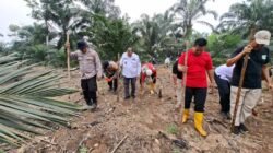 Polsek Rambah Samo, Dukung Ketahanan Pangan Melalui Tanam Jagung Kuartal IV di Desa Rambah Samo.