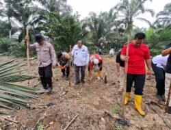 Polsek Rambah Samo, Dukung Ketahanan Pangan Melalui Tanam Jagung Kuartal IV di Desa Rambah Samo.