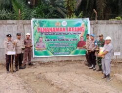 Dukung Ketahanan Pangan Nasional, Polsek Tambusai Utara Bersama PT Naga Mas Tanam Jagung Pipil di Tanjung Medan