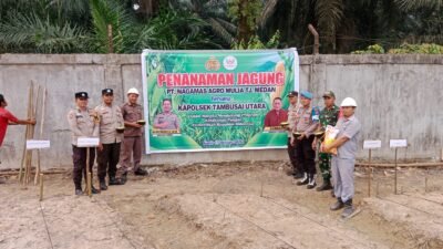 Dukung Ketahanan Pangan Nasional, Polsek Tambusai Utara Bersama PT Naga Mas Tanam Jagung Pipil di Tanjung Medan